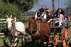 FIESTA GAUCHA EN ESTANCIA DON SILVANO FD SIB (VI-SA-DOM)