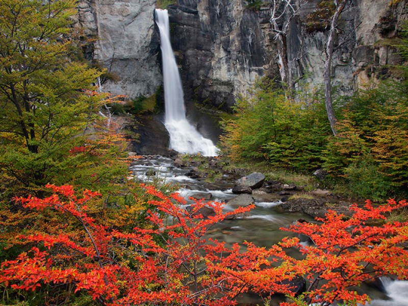 EL CHALTÉN (C/COMIDA) MIRADOR DE CONDORES Y SALTO DEL CHORRILLO FD SIB