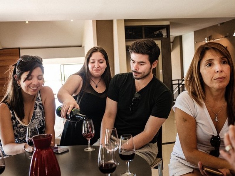 VINOS Y SABORES DE MAIPÚ FD SIB