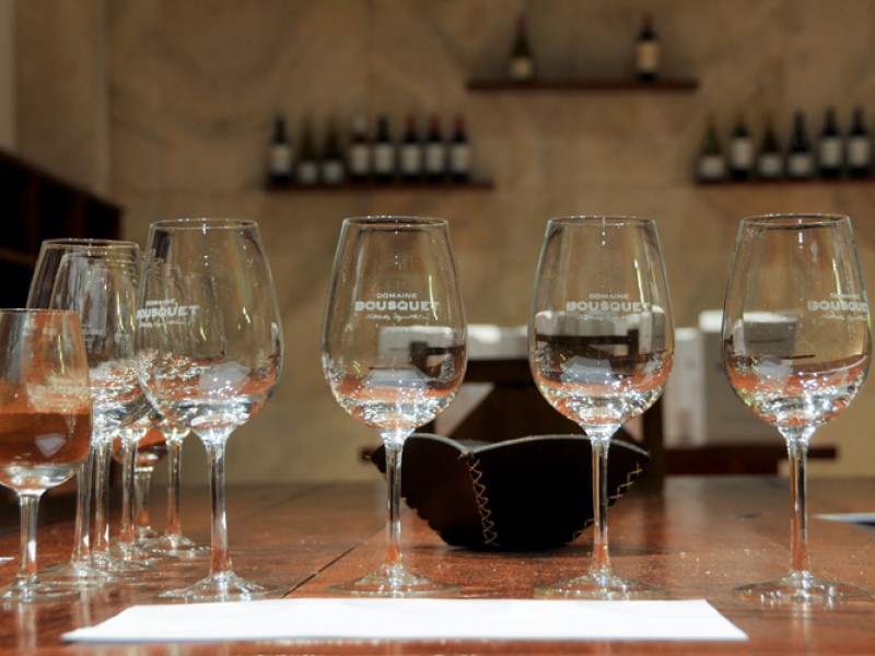 EXPERIENCIA VALLE DE UCO FD SIB