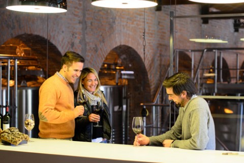 EXPERIENCIA LUJAN DE CUYO FD SIB