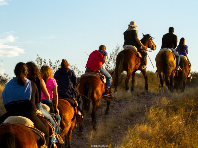 CABALGATA CRIOLLA HD SIB