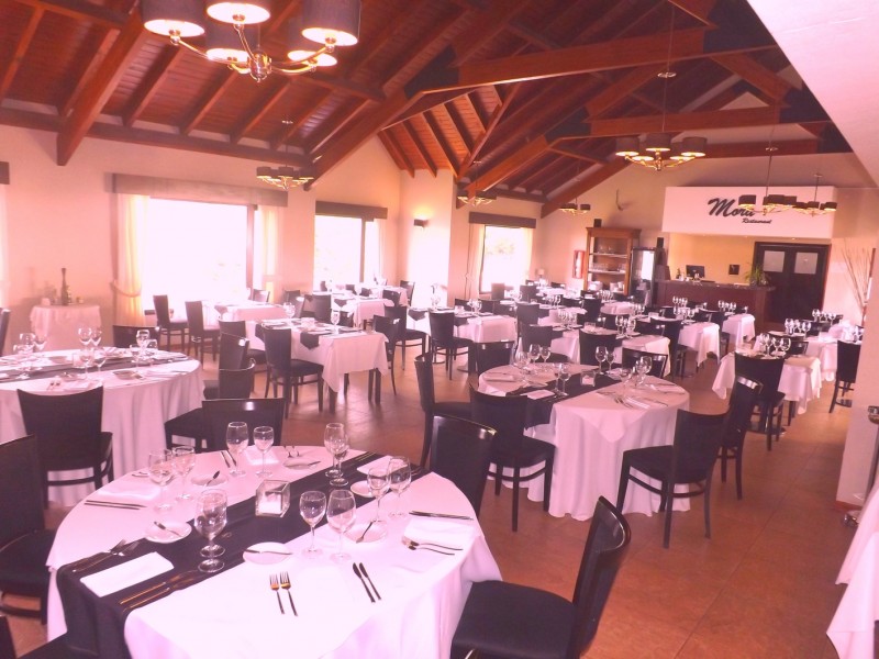 Xelena Hotel & Suites